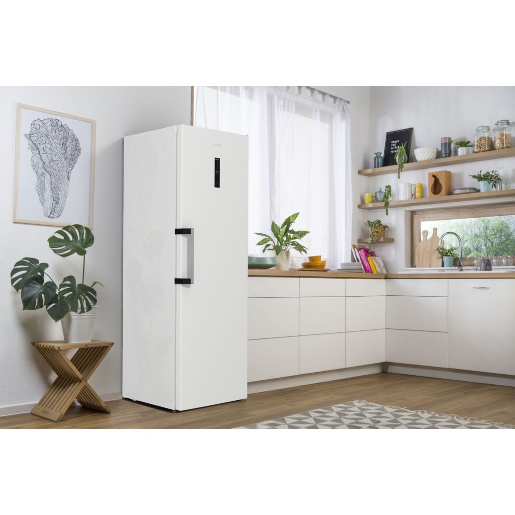 GORENJE armadietto congelatore FN619EAW6