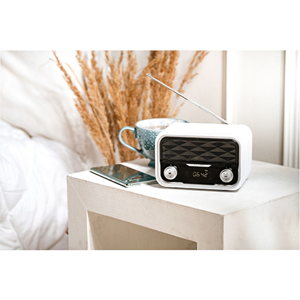 Radio ADLER e lettore Bluetooth/AUX/FM/SD/USB (AD1155)