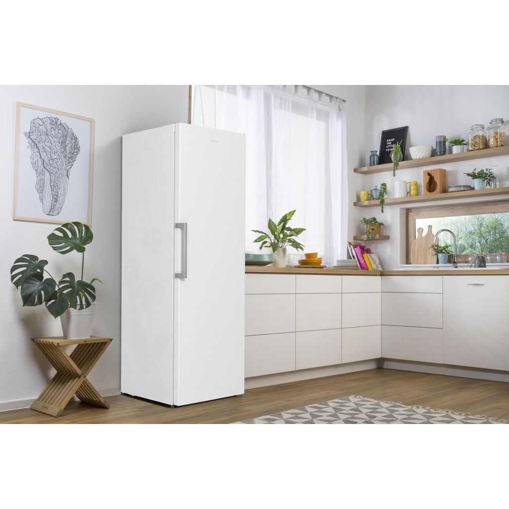 GORENJE armadietto congelatore FN619EEW5