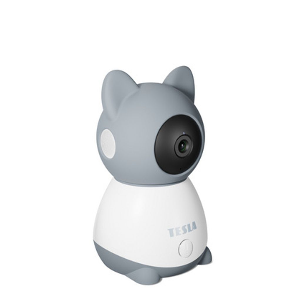 TESLA Smart video babysitter B250